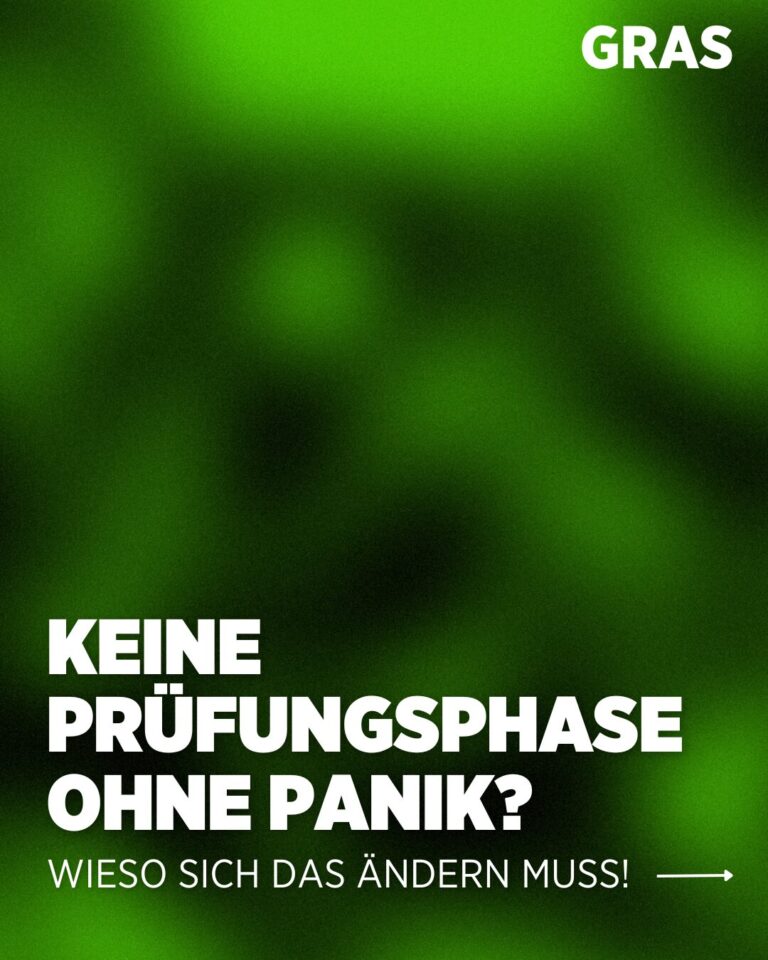 Grüner und Schwarzer Hintergrund und darauf weißer Text "keine Prüfungsphase ohne Panik" "warum sich das ändern muss