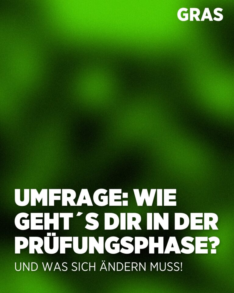 Grüner Hintergrund und weiße Schrift "Umfrage: Wie gehts dir in der Prüfungsphase? - und was sich ändern muss!"